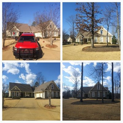 Photos of Sadler’s Tree Service Birmingham, AL