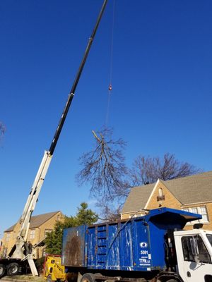 Photos of Tip Top Tree Service Opelika, AL