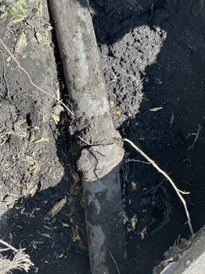 Photos of Next Lvl Sewer Specialist Mesa, AZ