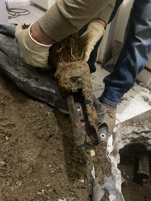 Photos of LA Drain Experts & Rooter Service San Gabriel, CA