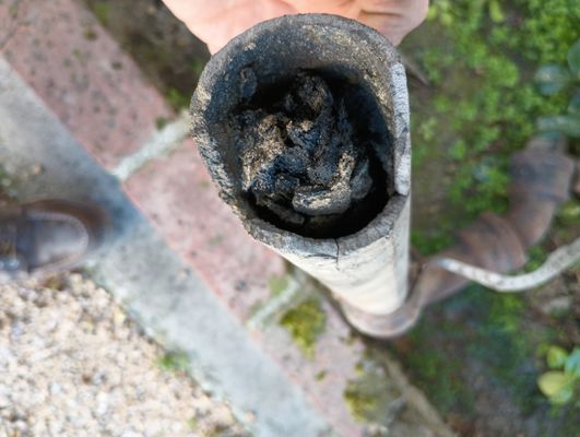 Photos of Drain with Trenchless Torrance, CA