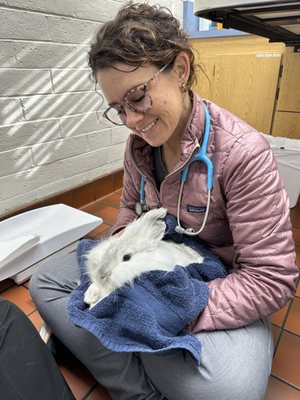 Photos of Redwood Veterinary Hospital Visalia, CA 