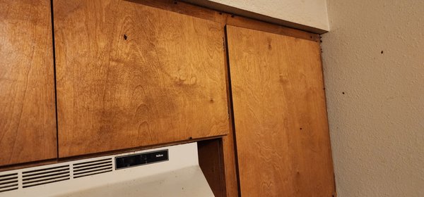 Photos of San Joaquin Pest Control - Visalia Visalia, CA 