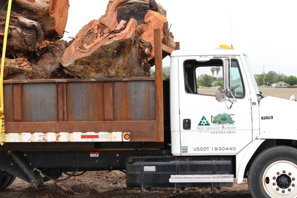 Photos of NCE Tree Services Visalia, CA 