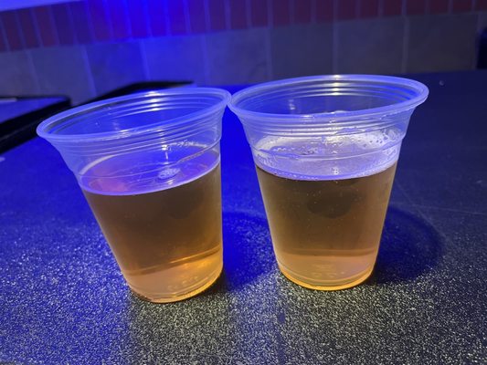 Photos of Jacksonville Icemen Jacksonville, FL
