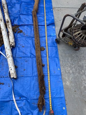 Photos of Gonzalez Plumbing Miami, FL