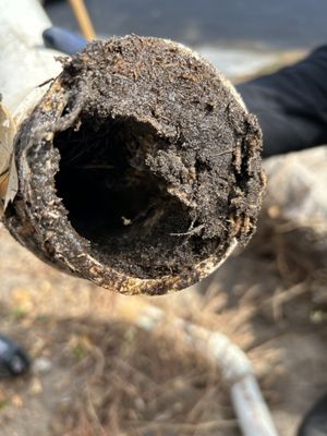 Photos of Legacy Plumbing Experts West Palm Beach, FL