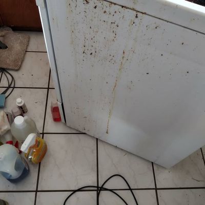 Photos of 16 Foot Cleaning Hilo, HI 