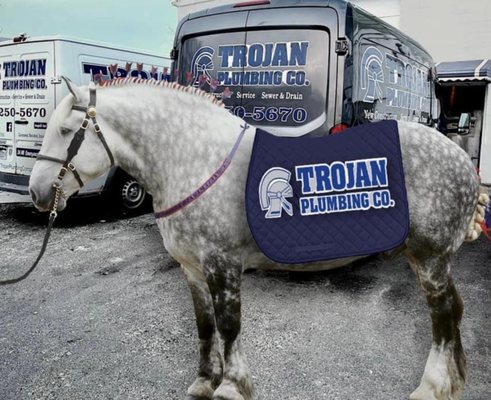 Photos of Trojan Plumbing Chicago, IL