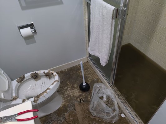 Photos of Sandoval Plumbing Chicago, IL