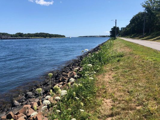 Photos of Sandwich Marina Park Bourne, MA