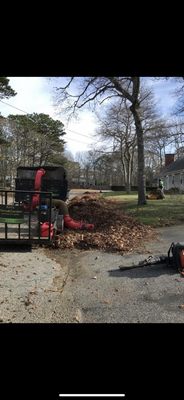 Photos of Rags Cleaning & Preservation Services Bourne, MA