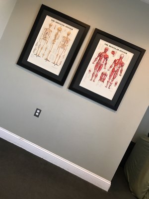 Photos of Stephen M Estner - Estner Chiropractic Bourne, MA