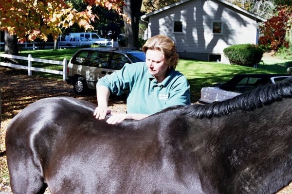 Photos of Tranberg Animal Chiropractic & Health Solution Bourne, MA