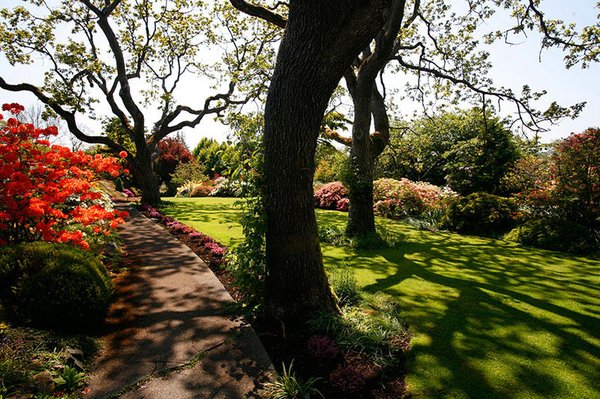 Photos of Lyon Landscape Nursery Bourne, MA