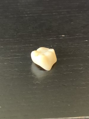 Photos of Gentle Dental Norwood Bourne, MA