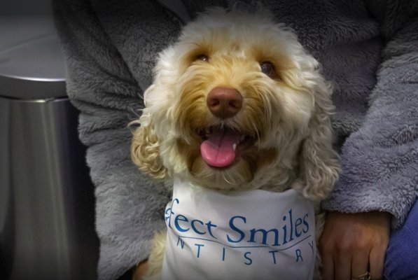 Photos of Perfect Smiles Dentistry Bourne, MA