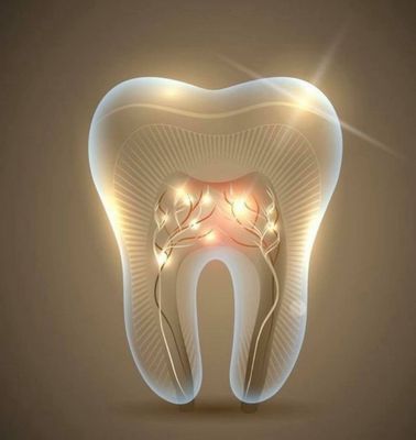 Photos of The Orleans Center for Dental Excellence Bourne, MA