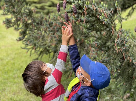 Photos of Boston Outdoor Preschool Network Bourne, MA