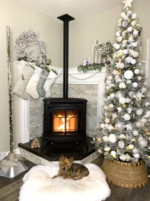 Photos of The Fireplace Showcase Bourne, MA