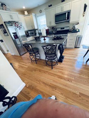 Photos of Maids Service Bourne, MA