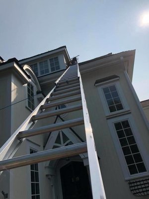 Photos of Expert Wildlife Removal Bourne, MA