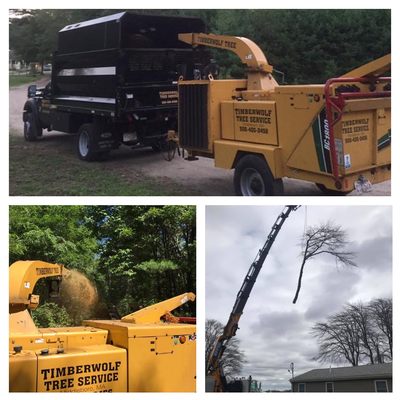 Photos of Timberwolf Tree Service Bourne, MA