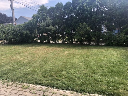 Photos of Cutting up Landscaping Bourne, MA