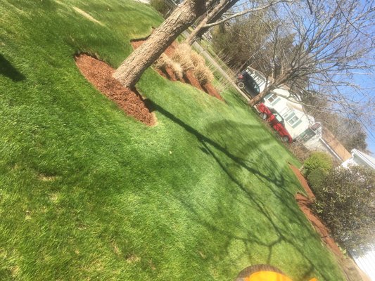 Photos of DM Landscape Services Bourne, MA