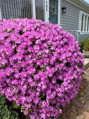 Photos of Cape Home Landscaping Bourne, MA