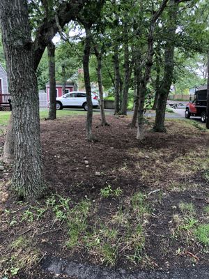 Photos of MT. Moriah’s Landscaping Bourne, MA