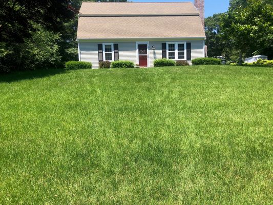 Photos of Four Paws Lawn Care Bourne, MA