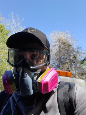 Photos of Home Shield Pest Solutions Bourne, MA