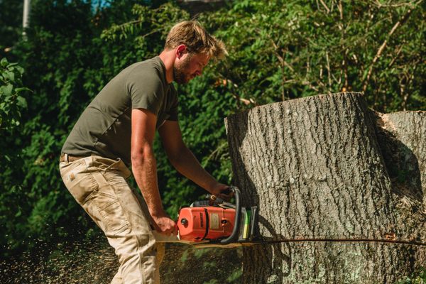 Photos of Helger Bros Tree Service Bourne, MA