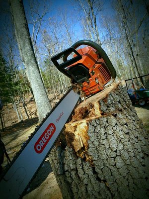 Photos of Longview Landscape Bourne, MA
