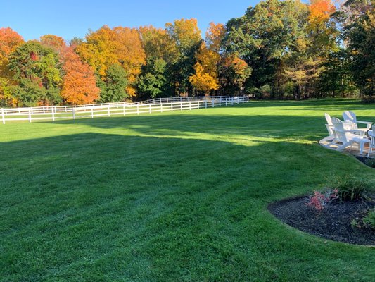 Photos of Natural Tree & Lawn Care Bourne, MA