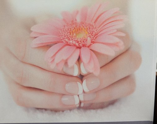 Photos of Synergy Nail Studio Bourne, MA