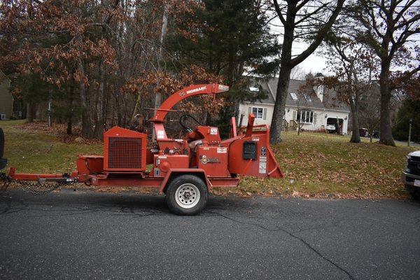 Photos of Mike & Mike’s Tree Service Bourne, MA