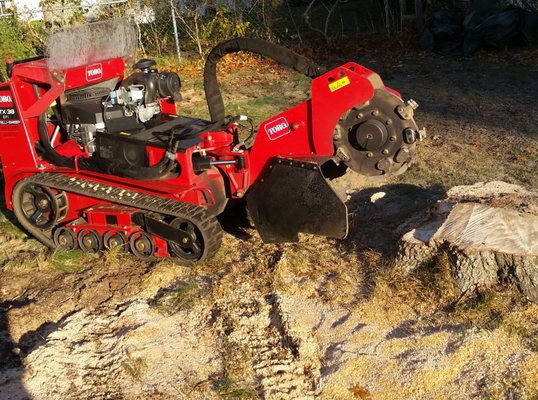 Photos of Notch Your Average Tree Service Bourne, MA