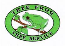 Photos of Treefrog Tree Service Bourne, MA