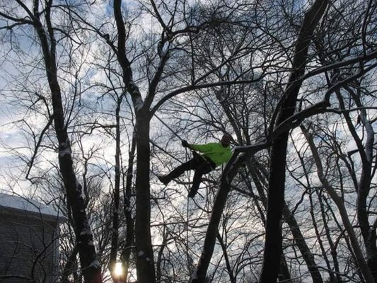 Photos of Tidey Tree Service Bourne, MA