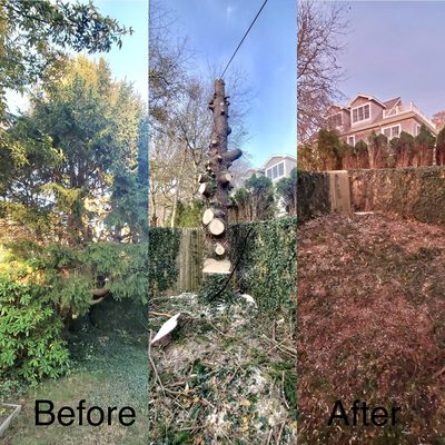 Photos of Whaling City Tree Care Bourne, MA