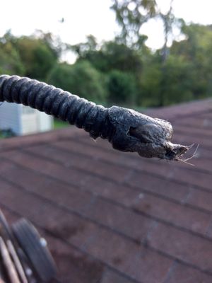 Photos of Drain Care Sewer And Hydrojet Freeport, TX