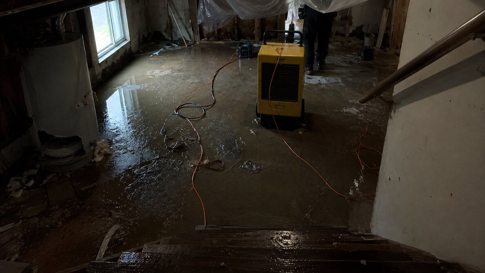 Photos of 4Sure Mold Removal Spanish Fork, UT