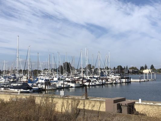 Photos of Ballena Bay Alameda, CA