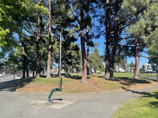 Photos of Littlejohn Park Alameda, CA