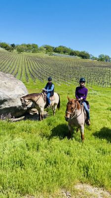 Photos of Napa Valley Trail Rides Alameda, CA