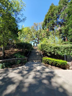 Photos of Piedmont Park Alameda, CA