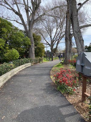 Photos of Public Shoreline Trail Alameda, CA