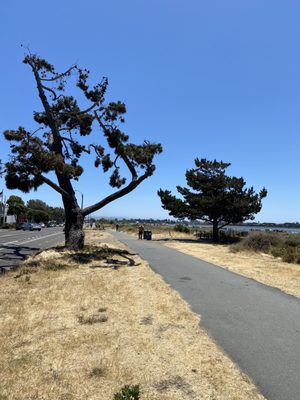 Photos of Shoreline Trail Alameda, CA